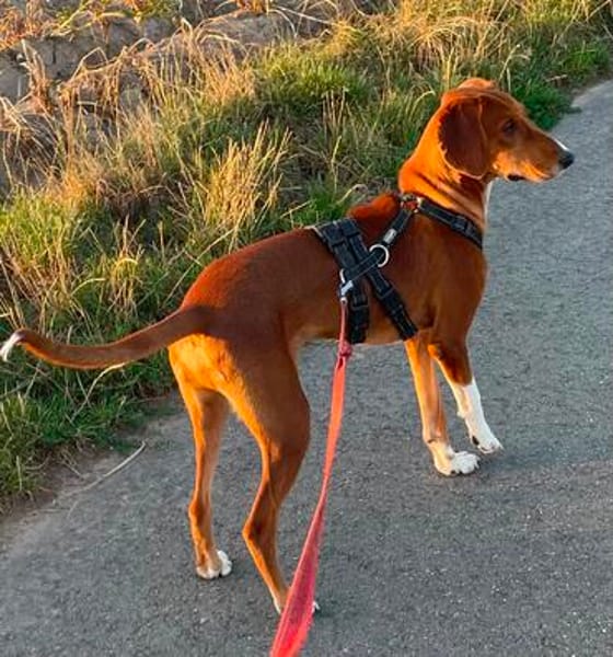 RIO ist ein Träumchen - wo sind seine Menschen?