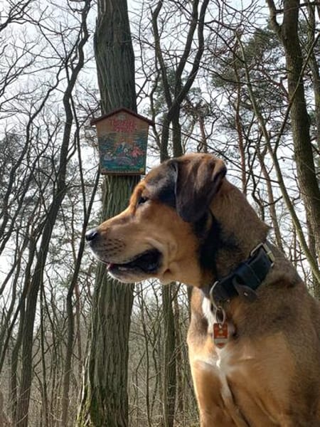 Liebevoll, menschenbezogen,kinderlieb...