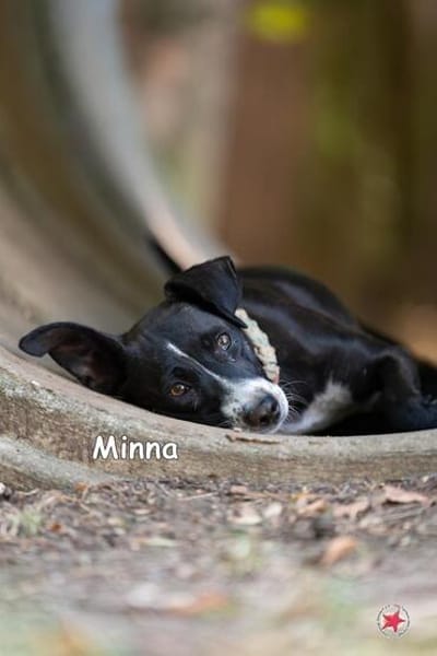 MINNA