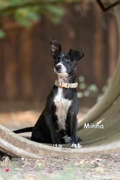 MINNA