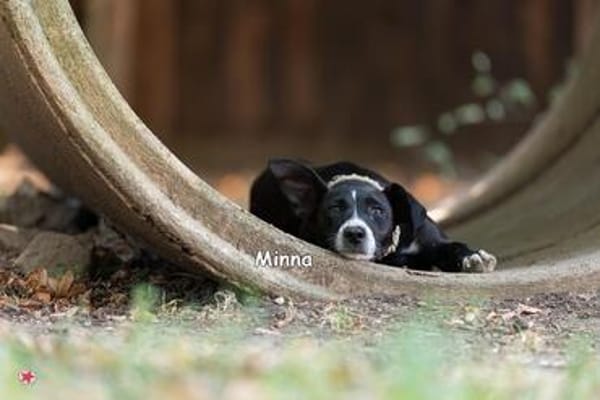 MINNA