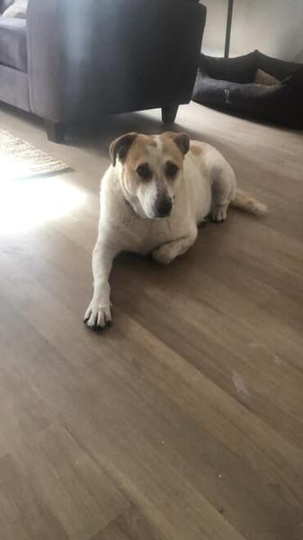 Hallo, ich bin Kalle