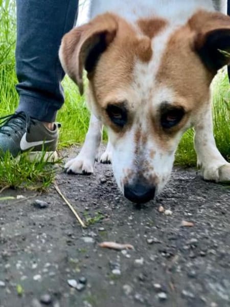 Hallo, ich bin Kalle