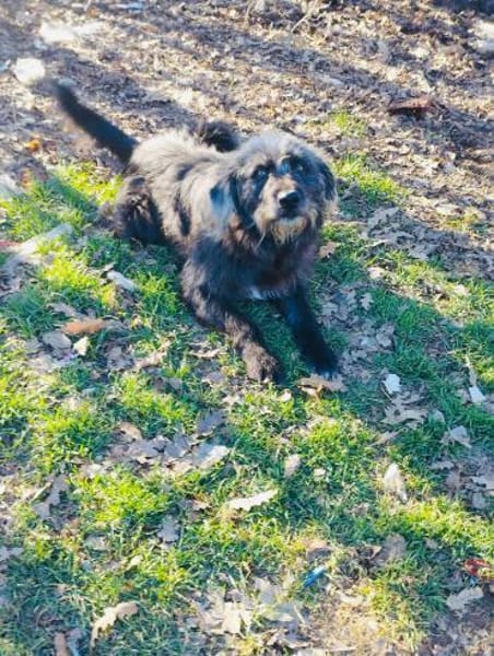 Entspannter, liebenswerter Yannis sucht