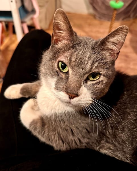 Kenai