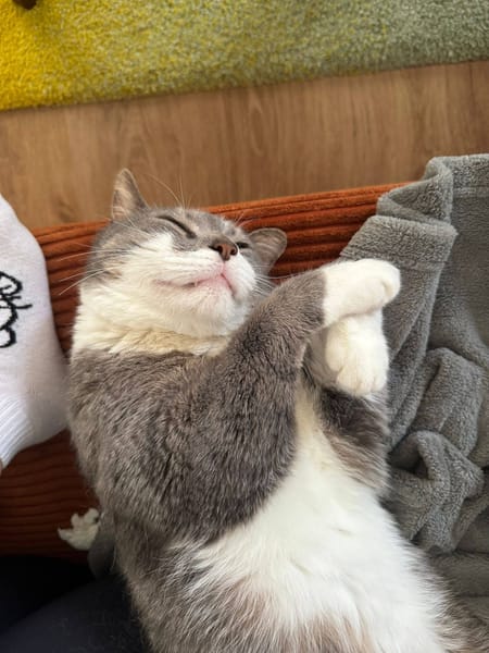 Kenai