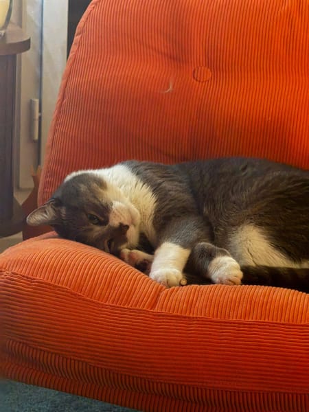 Kenai