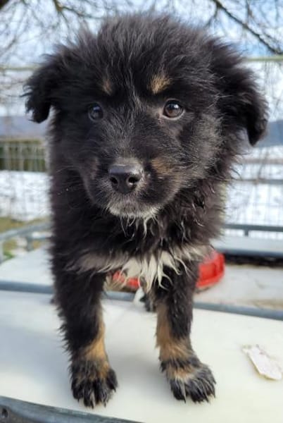 Mia