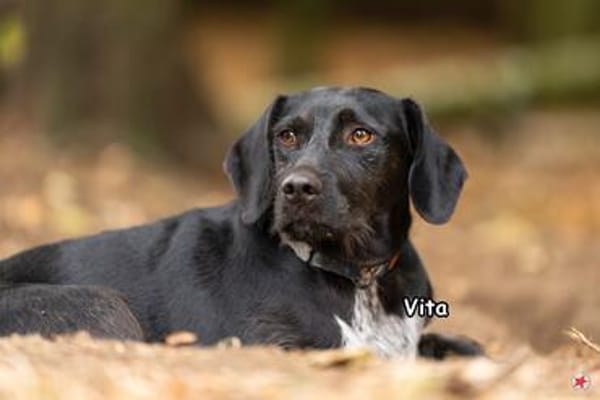 VITA