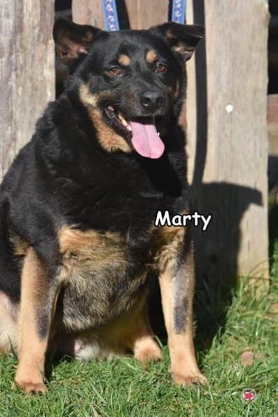 MARTY
