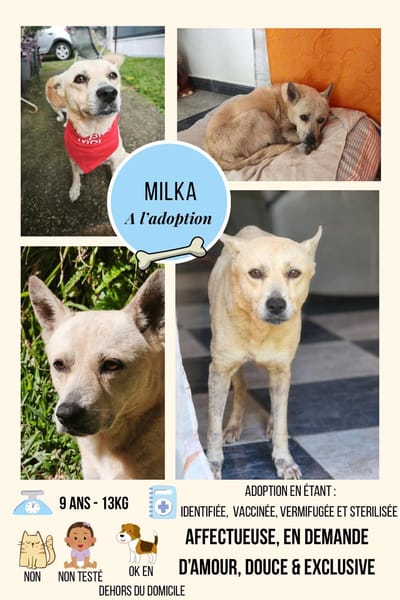 MILKA