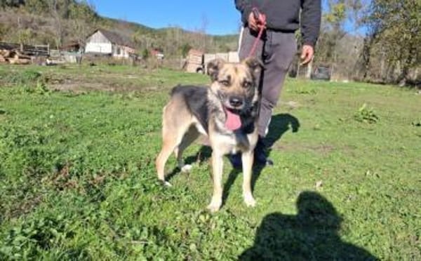Hallo ich bin Kovo!