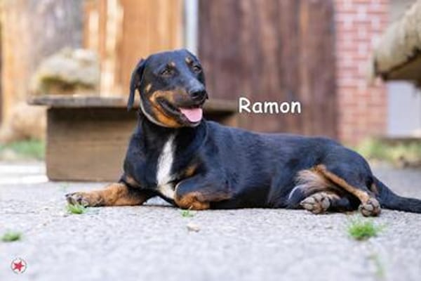 RAMON