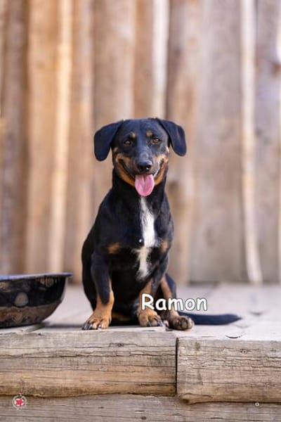 RAMON