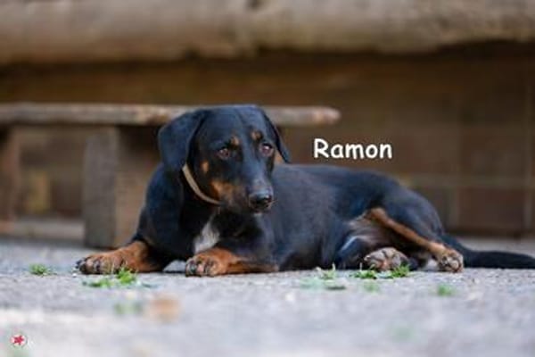 RAMON