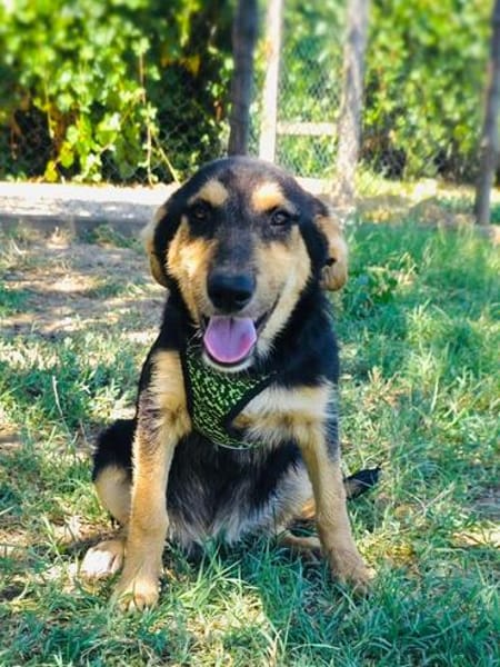 Zara ein tolles Mädchen