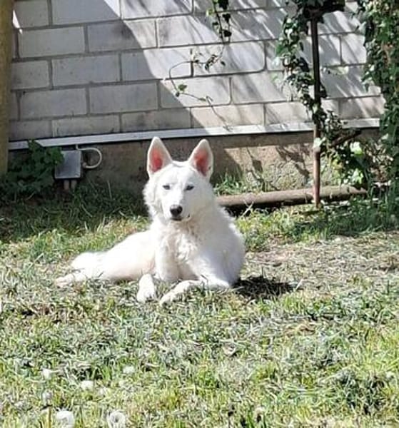 Marco