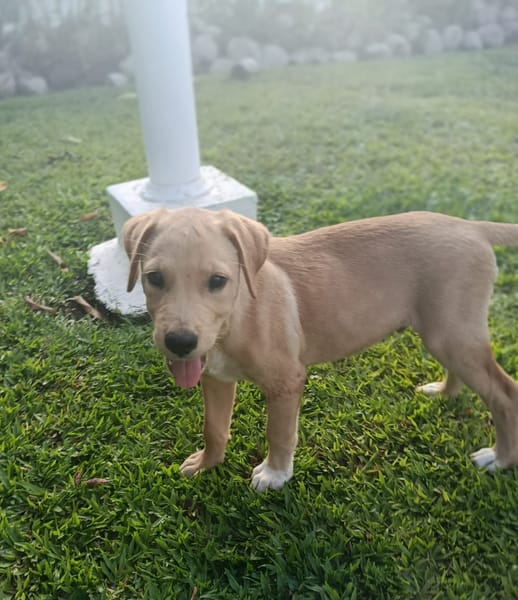 BOBBY