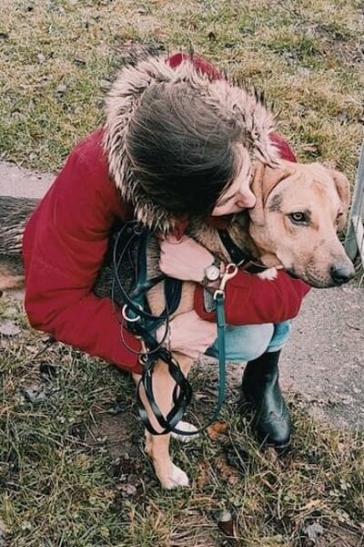Freddi - ein richtig toller Hundekumpel