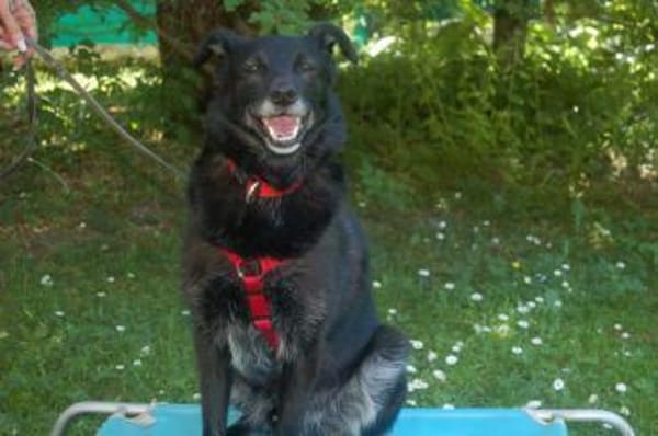 SAMMY DELUXE hofft auf dauerhaftes Heim