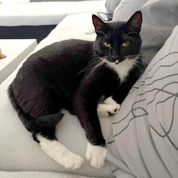 LUNA und POLLY: Glück im Doppelpack