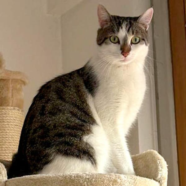 LUNA und POLLY: Glück im Doppelpack