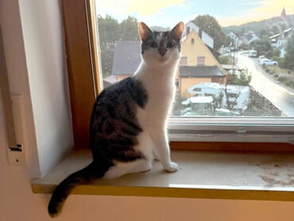 LUNA und POLLY: Glück im Doppelpack