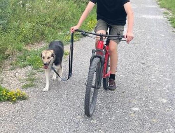 Frieda verliert unverschuldet ihr Zuhause