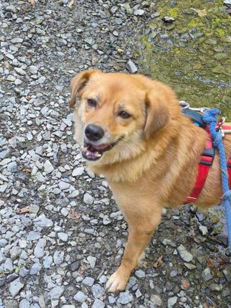 Eyla, älteres Mädchen sucht ein Zuhause