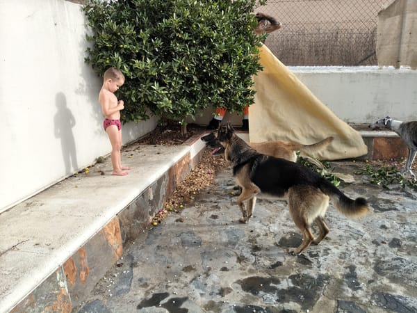 APOLO (Union Animal)