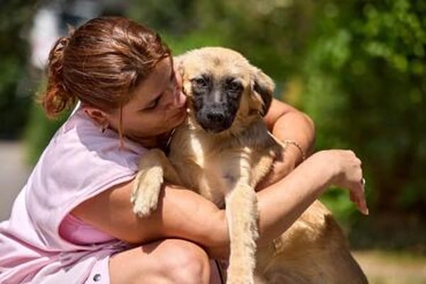 freundliches Hundekind Pepa sucht Leinenführer fürs Leben.