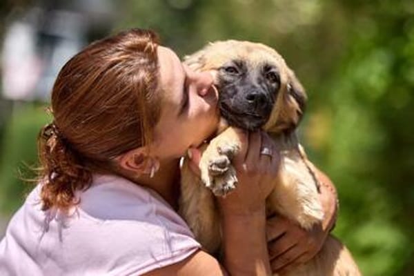 freundliches Hundekind Pepa sucht Leinenführer fürs Leben.
