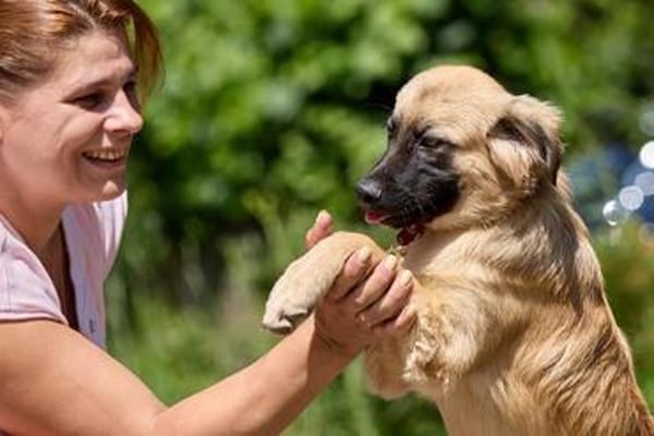 freundliches Hundekind Pepa sucht Leinenführer fürs Leben.