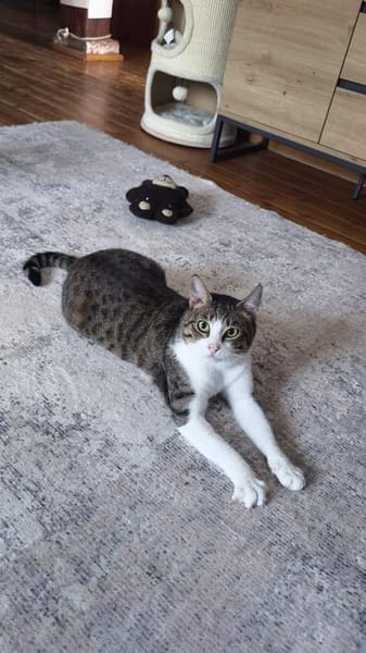Die Brüder Tito und Toto Fiv+, unser DreamTeam
