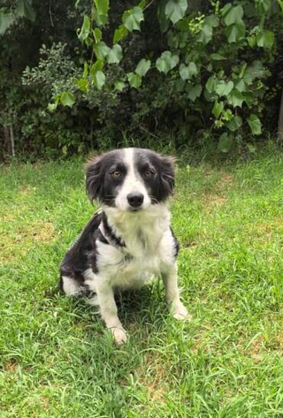 Kokonimix Mädchen Rodi sucht ein Zuhause