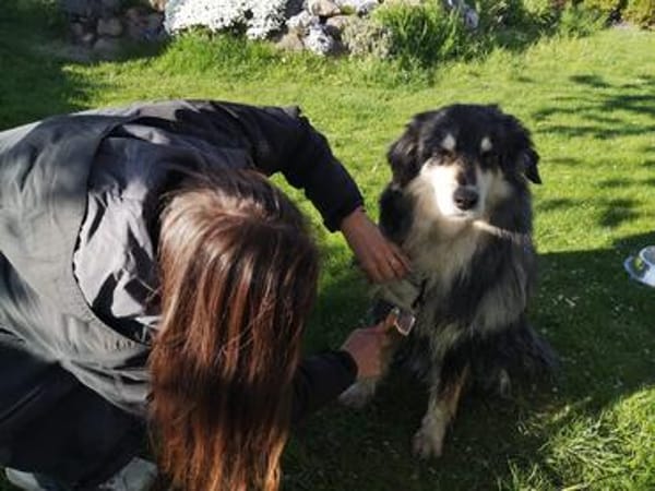 Gemütliche Emma
