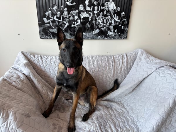 Aiko