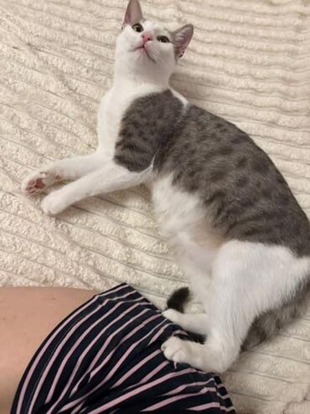 Wendy & Jenny Traumpärchen sucht Traumzuhause