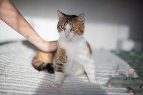 Wendy & Jenny Traumpärchen sucht Traumzuhause