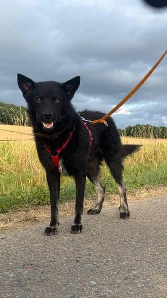 Onyx, so ein Charmeur