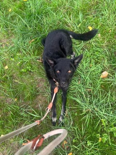 Onyx, so ein Charmeur