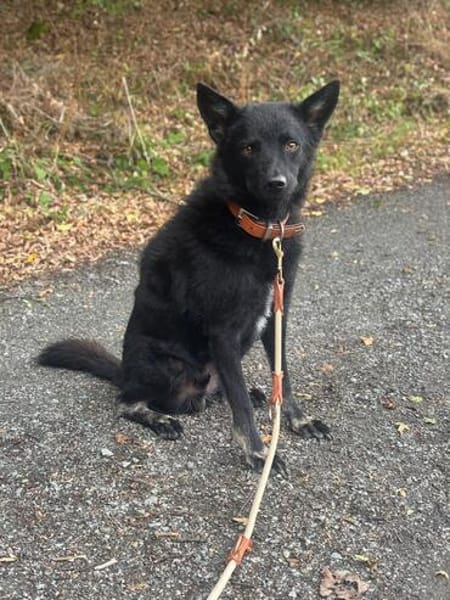 Onyx, so ein Charmeur