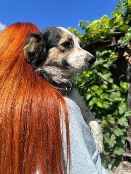 Mary  eine kleine, zarte Seele sucht ihr Zuhause