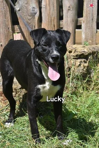 LUCKY