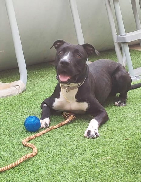 THOR (Hogar de paz)