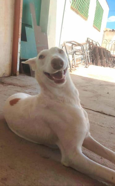 NUT (Hogar de paz)