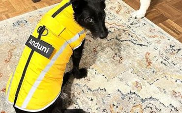 Schmusemaus Anduni sucht dich