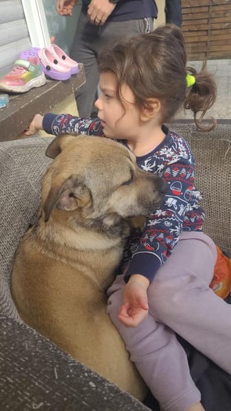 Kleine FEE sucht ihr Zuhause