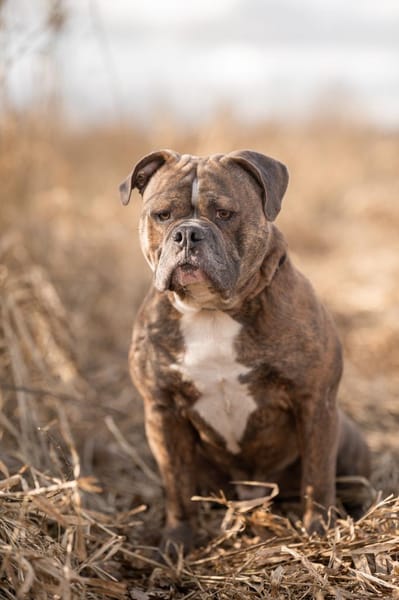 Bruno will endlich ankommen!