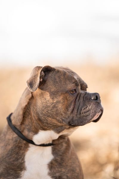 Bruno will endlich ankommen!